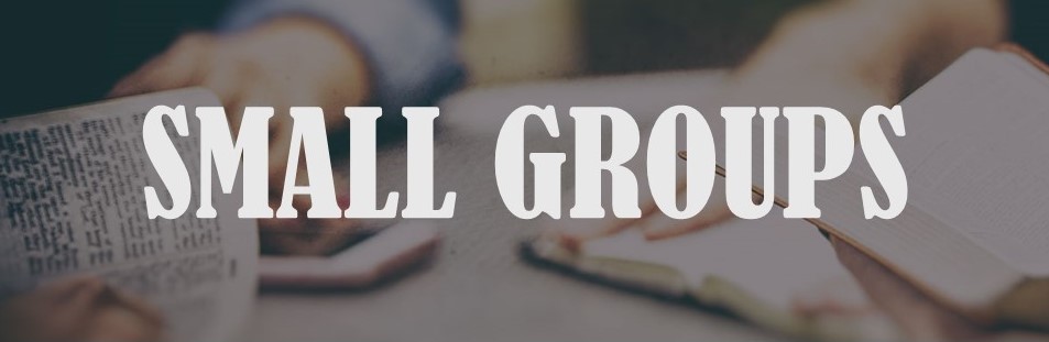 Small Group Kick-off Dinner
